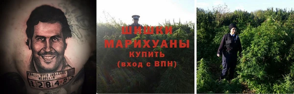 гидропоника Ветлуга