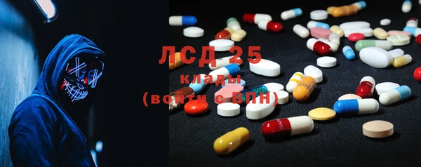 PSILOCYBIN Покров