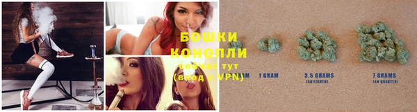 PSILOCYBIN Покров