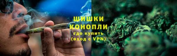 PSILOCYBIN Покров