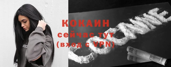 гашик Покровск
