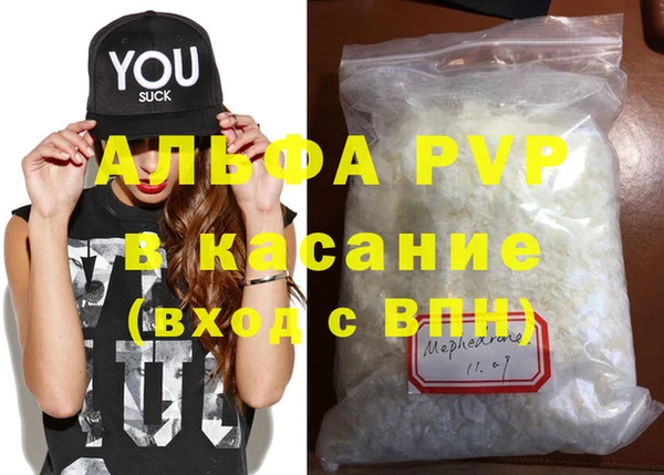 PSILOCYBIN Покров
