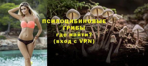 гашик Покровск