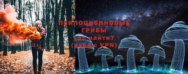 шишки Весьегонск