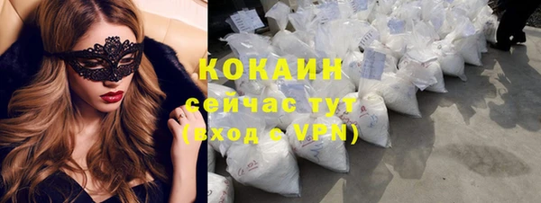 шишки Весьегонск