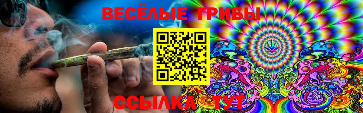 Галлюциногенные грибы ЛСД Верхняя Салда