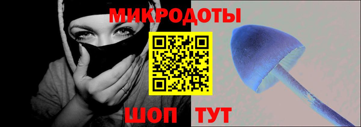 цена   Верхняя Салда  Галлюциногенные грибы MAGIC MUSHROOMS  Псилоцибиновые грибы прущие грибы 